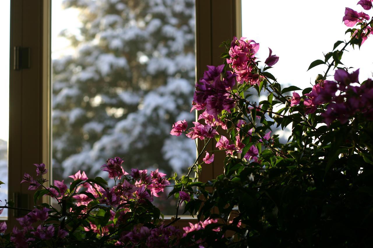 Bed and Breakfast Chez Marianne Astano Exterior foto
